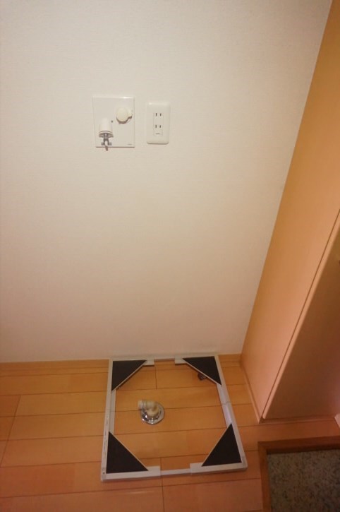 ブルースター  その他7