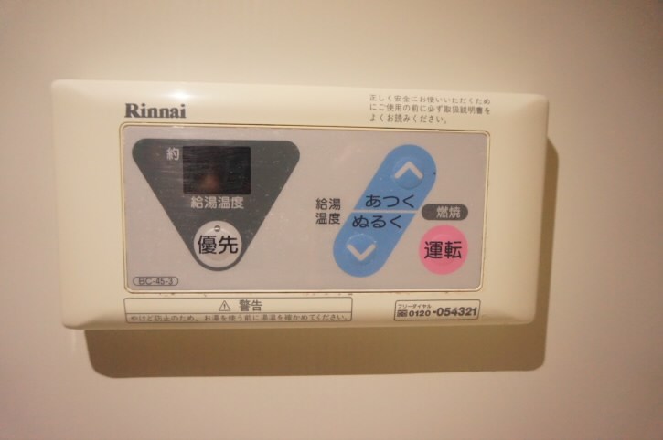 ブルースター  その他10