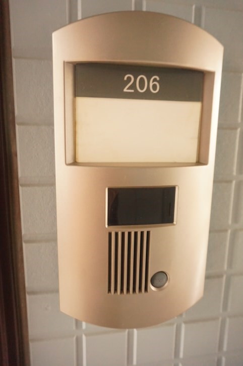 ブルースター  その他12