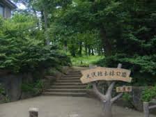 サンハイツミキB棟　 【東京外国語大学受験生事前予約可能物件】  周辺画像6