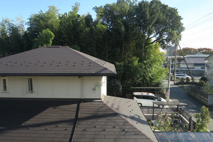 マリオンつつじヶ丘   その他5