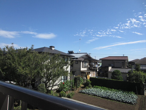 パレス中和泉   その他5