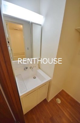 フェリシア その他6