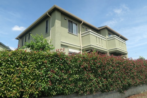 パインコート  その他10