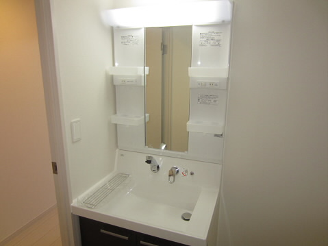 リブリラウレア   その他1