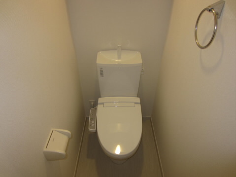 リブリラウレア   その他3