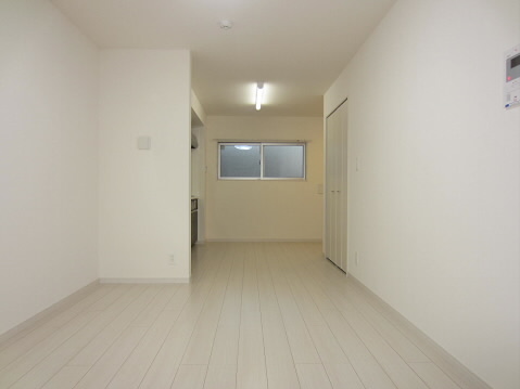 リブリラウレア   その他4