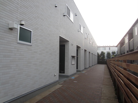 リブリラウレア   その他6