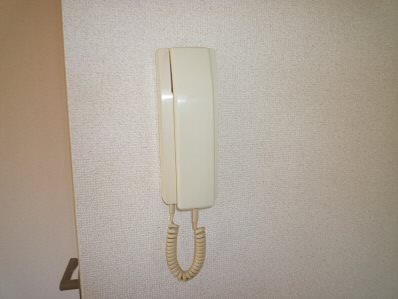 リコルディ白糸 その他6