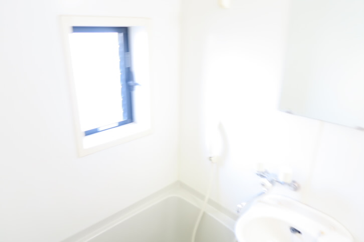 バイオレットビレッジ  その他8