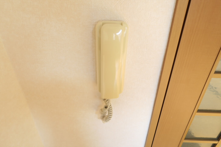 バイオレットビレッジ  その他14