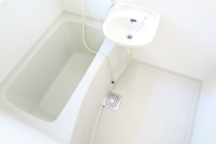 バイオレットビレッジ  風呂画像