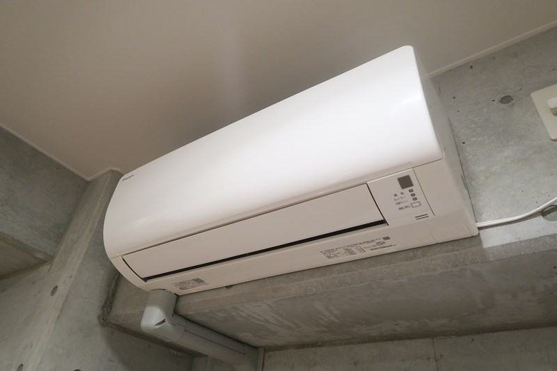 エル・セレッソ   その他2