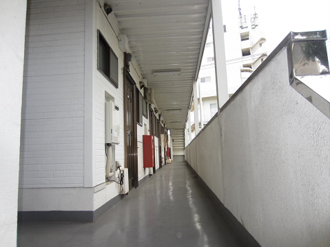 ホワイトＳＫＪ その他6