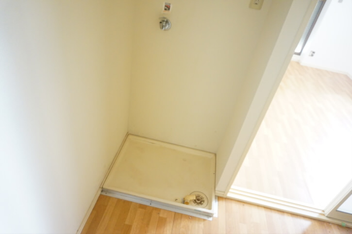 シュロスプリーマ  その他2