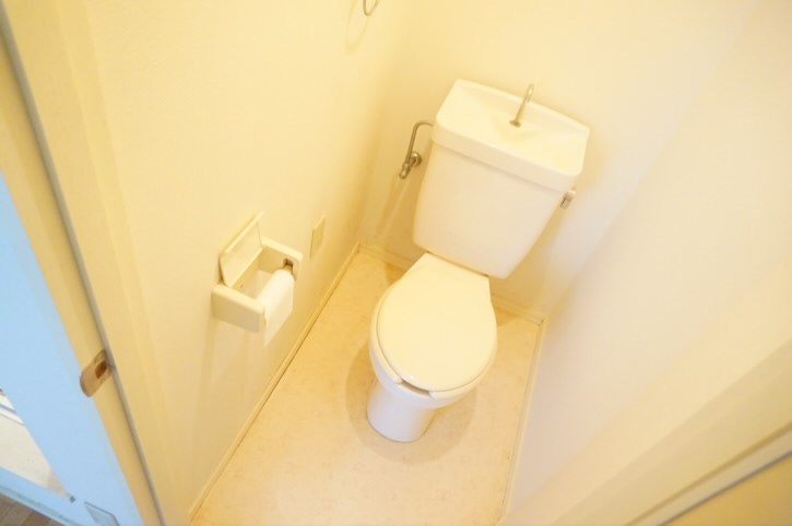 シュロスプリーマ  その他12