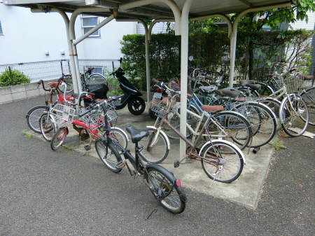 CASA VERDE(カーサヴェルデ)   その他6