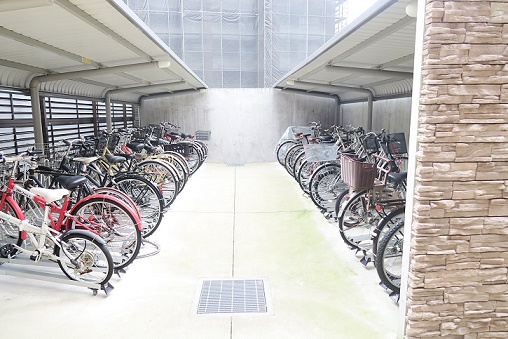 カンパニュラ  その他3