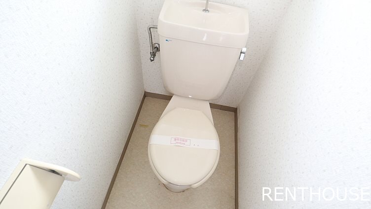 ブルーフォリストⅡ     その他3