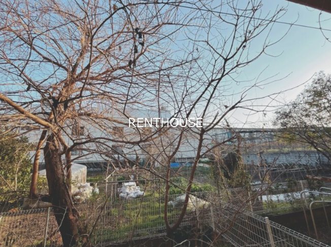 泉コーポ   その他2