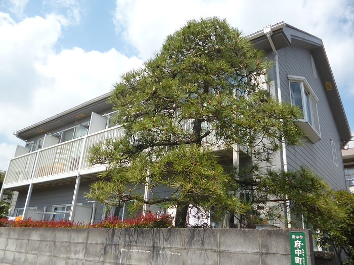 セラビ 　当社管理物件  外観