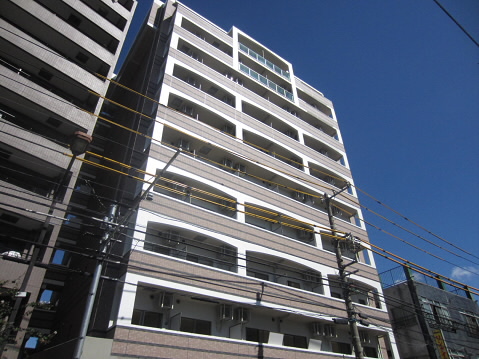 カンパニュラ  外観