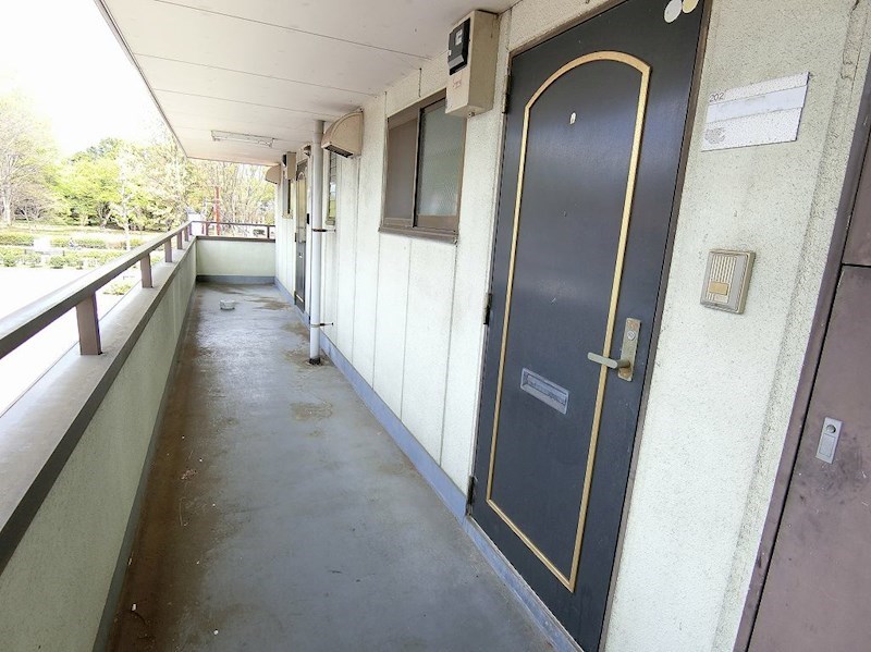 フィールドリッチ  その他5