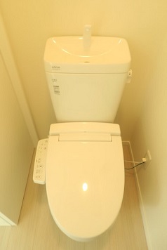 ルピナス   その他3