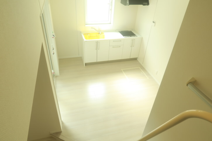 ルピナス   その他16