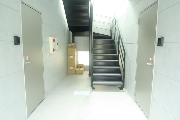 ルピナス   その他17