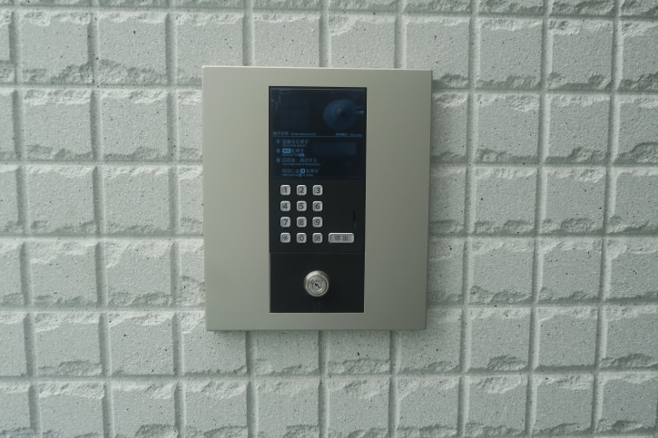 ルピナス   その他18