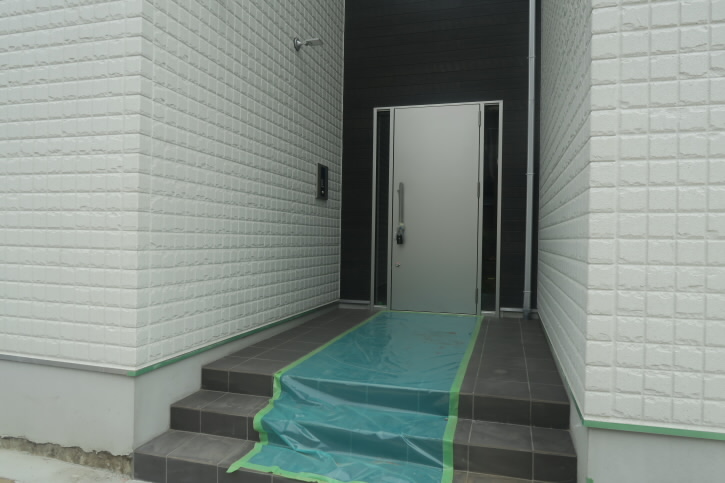 ルピナス   その他19