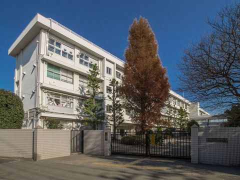 パインコート 周辺画像5