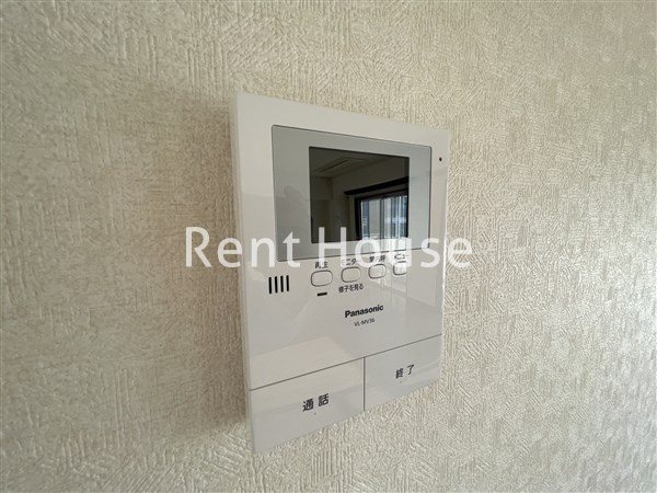 グレイッシュポイント  その他2