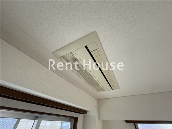 グレイッシュポイント  その他3