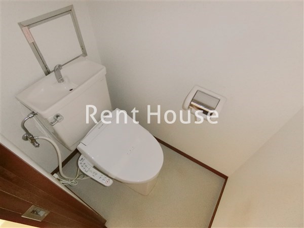 グレイッシュポイント  その他4