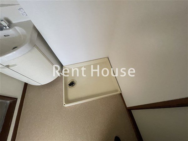 グレイッシュポイント  その他7