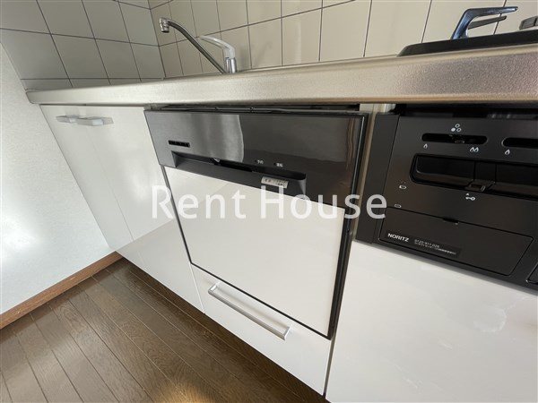 グレイッシュポイント  その他11