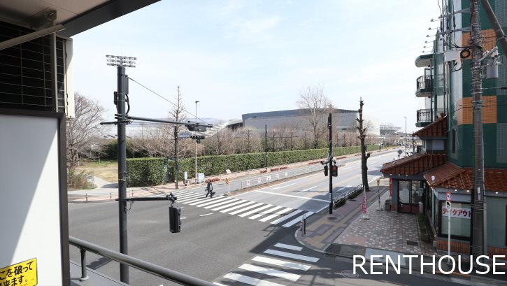 クリサンテーモ その他4