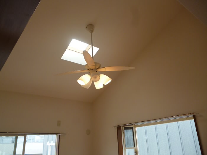 エレガント・ヴァラュアブル  その他6