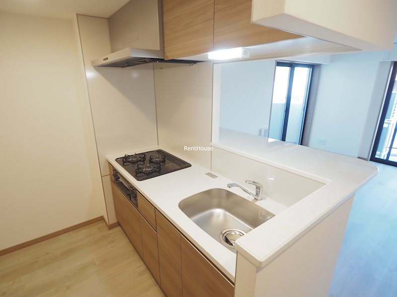 TheOrchidManorⅡ　ジ・オーキッド・マナー キッチン