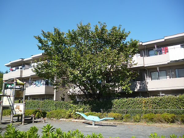 コルベイユ天神  その他6