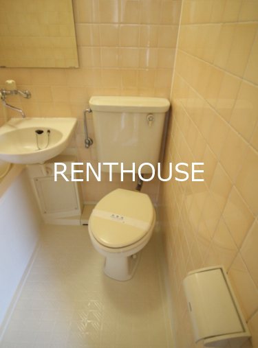 モンターニュ国領   その他1