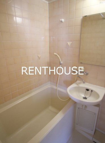 モンターニュ国領   風呂画像