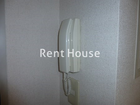 パインフィールド その他4