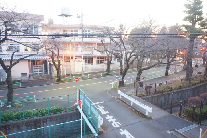 コーボック国領   その他4