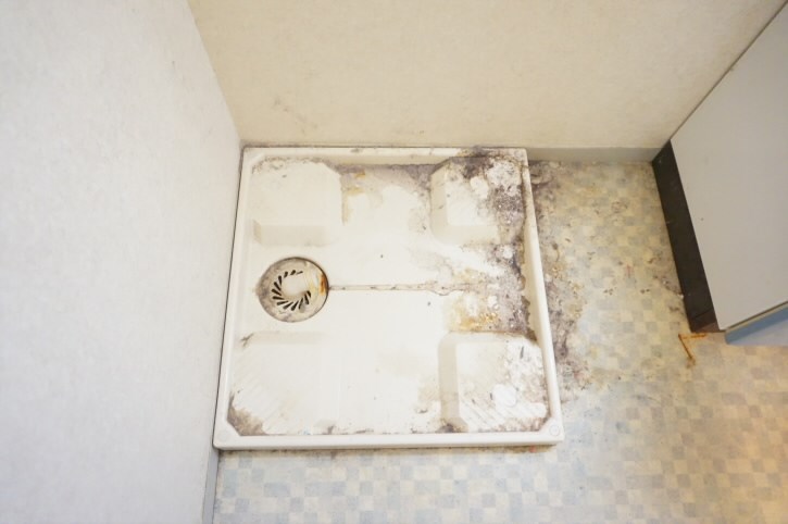 コーボック国領   その他11