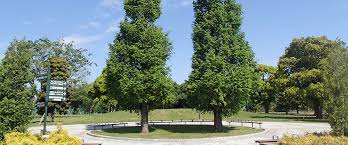 朝日二番館　【東京外国語大学受験生事前予約可能物件】   周辺画像9