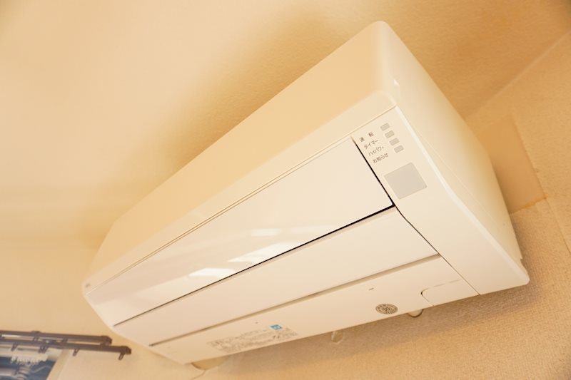 クヌギ その他2