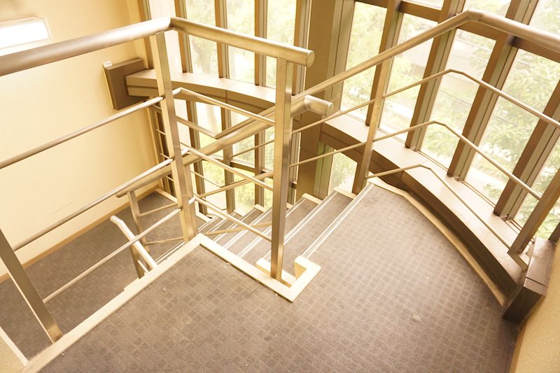 クヌギ その他3